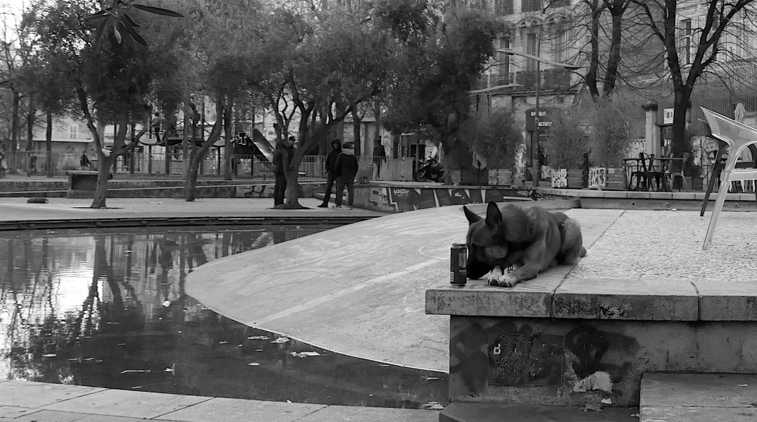 P1950635n&b copie.JPG