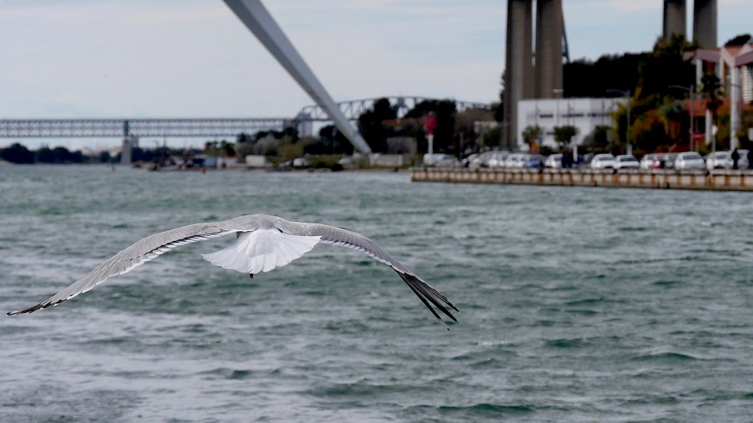 P1980321 - copie.jpg