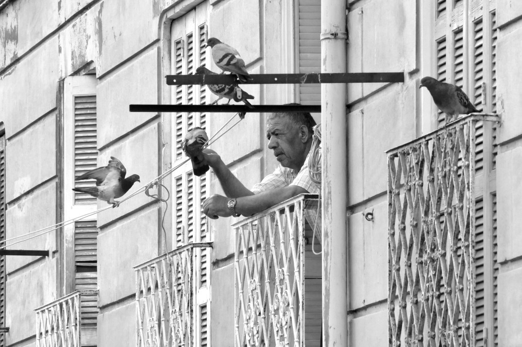 P2050554 copie 2.jpg