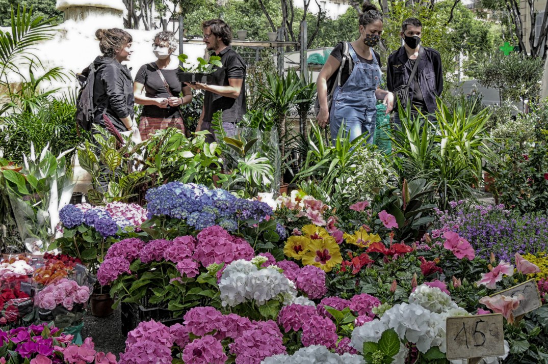 16052020-P2150680-Modifier