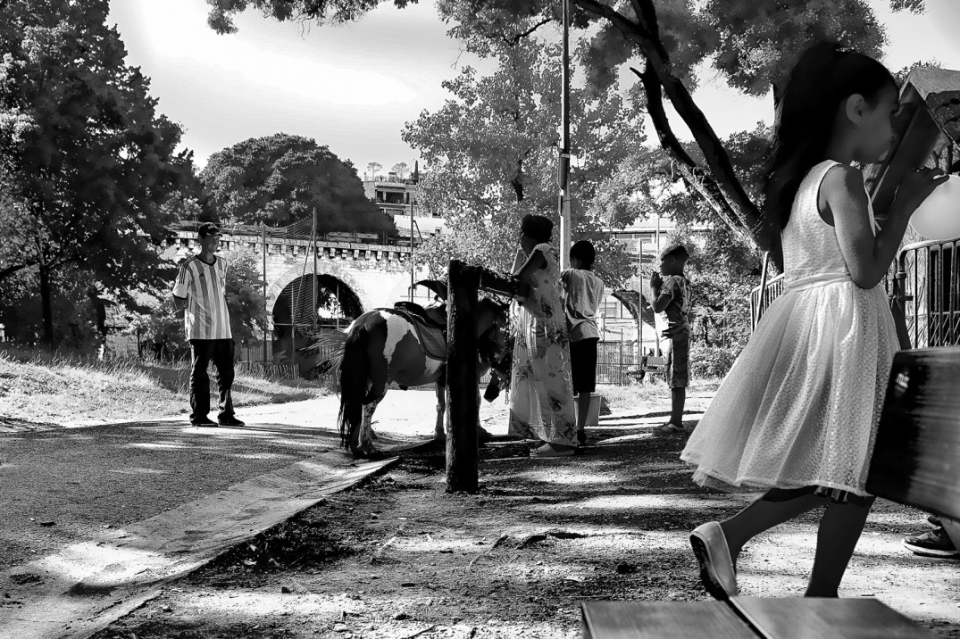 01082020-DSCF2334-Modifier