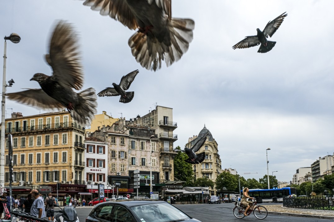 28072020-DSCF2106-Modifier